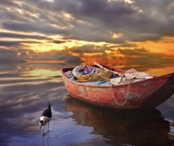 SEAGULL AND BOAT AT SUNSET 1