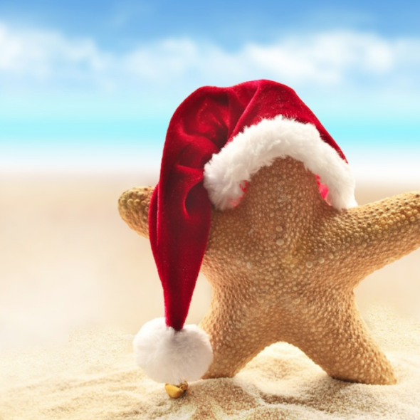STAR FISH WITH SANTA CLAUS HAT