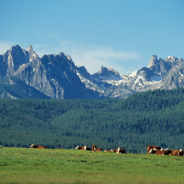 SAWTOOTH MOUNTAINS IN IDAHO